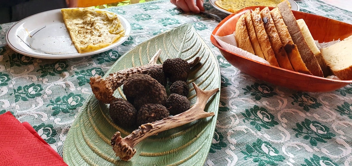 Pe toată Via Transilvanica, ziua 10. Am gonit din ținutul lemnos al secuilor în cel de piatră al sașilor: ne apropiem de casă