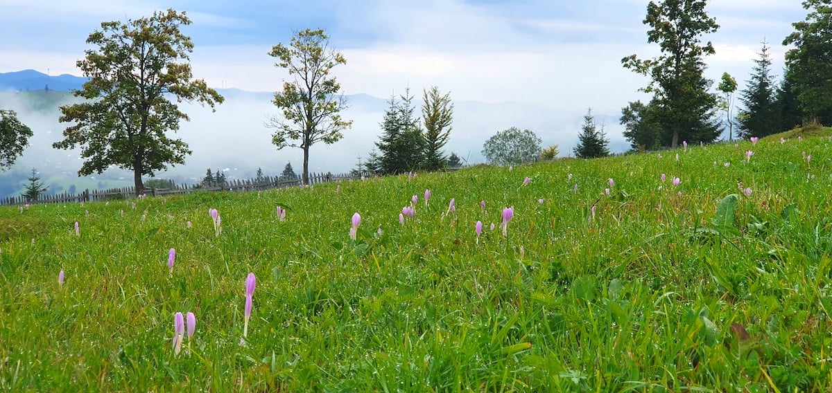 Pe toată Via Transilvanica. Ziua 2: spectaculos pare puțin spus