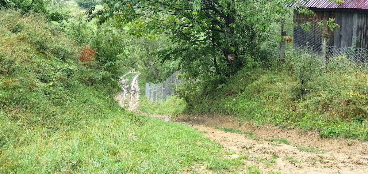 Pe toată Via Transilvanica, ziua 4. De la Tibi Ușeriu și până când norii ne-au devenit prieteni