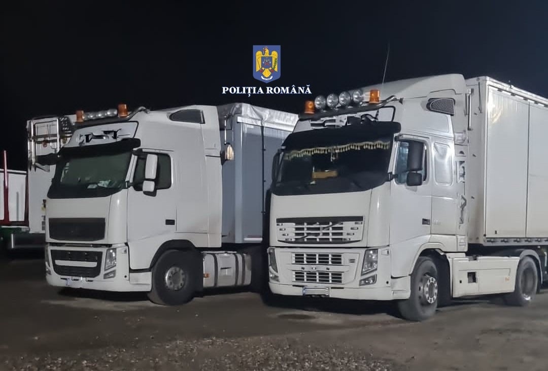 Aproape 150 de percheziţii în toată ţara în două dosare de evaziune fiscală şi tăiere fără drept de arbori