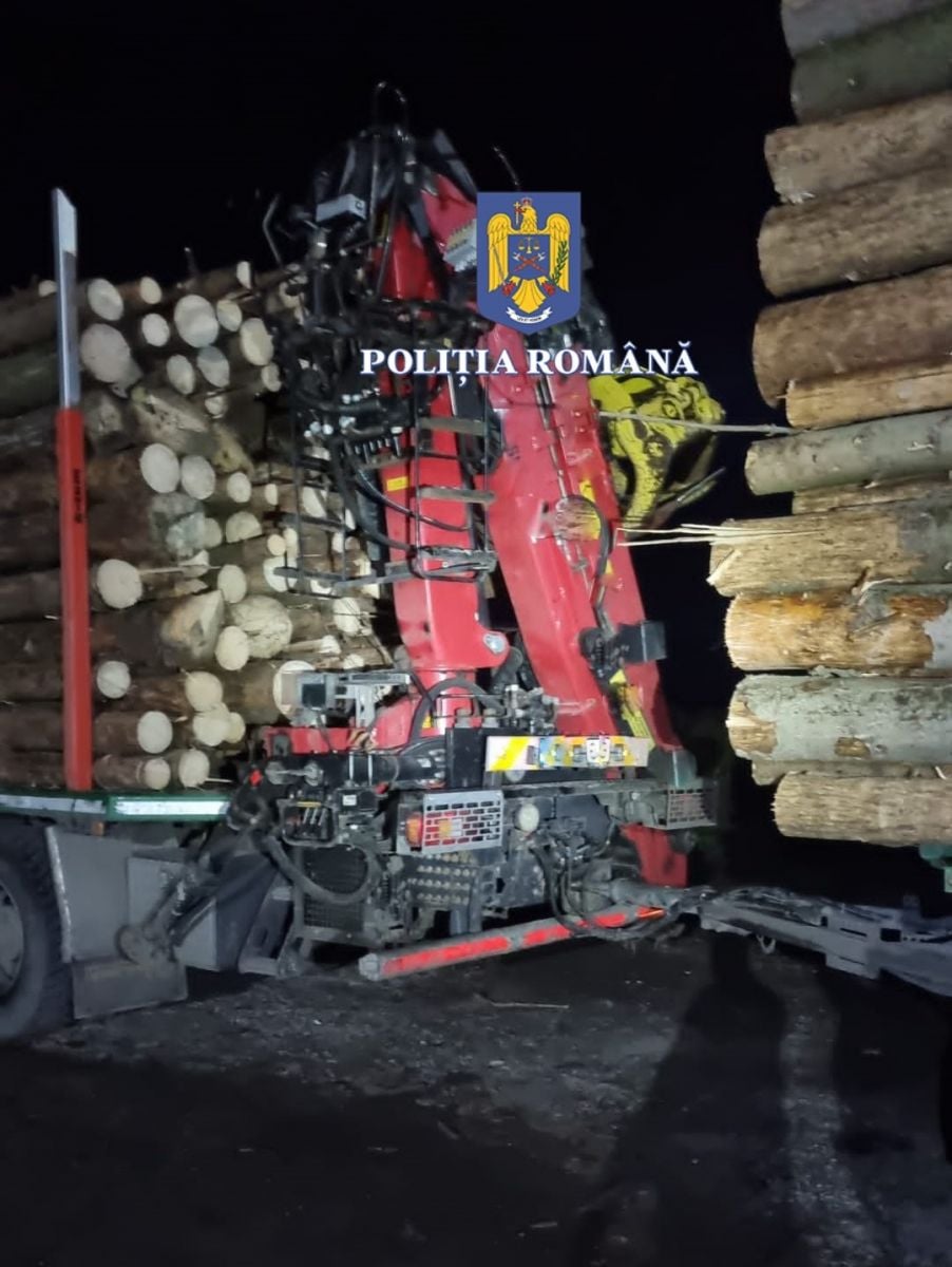 Aproape 150 de percheziţii în toată ţara în două dosare de evaziune fiscală şi tăiere fără drept de arbori