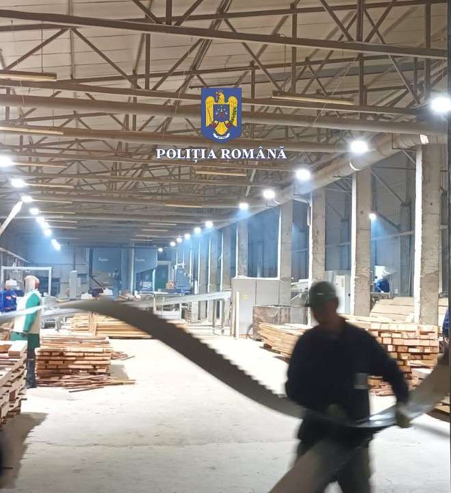 Aproape 150 de percheziţii în toată ţara în două dosare de evaziune fiscală şi tăiere fără drept de arbori