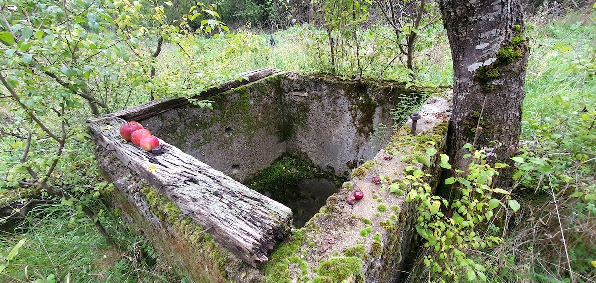 Pe toată Via Transilvanica, ziua 19 (și 20). Prin Poarta de Fier a Transilvaniei am trecut din Țara Hațegului în Banat