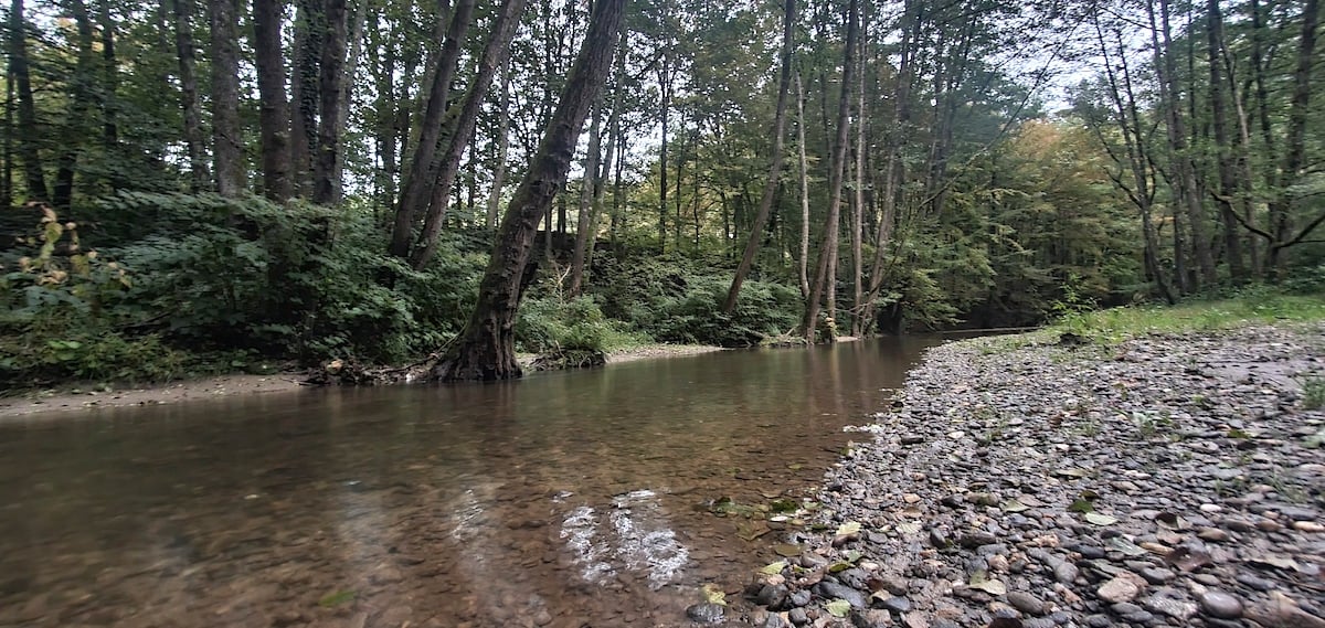 Pe toată Via Transilvanica, ziua 21. Prin „satul-fantomă”, al cărui ultim bătrân a fost omorât de o mașină la prima lui ieșire la oraș