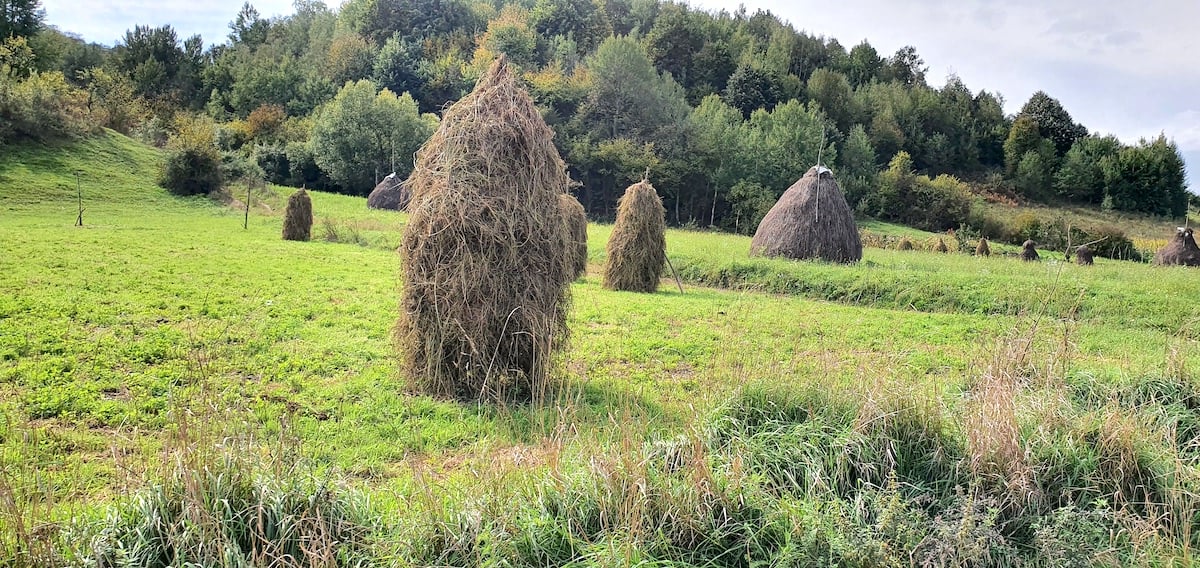 Pe toată Via Transilvanica, ziua 21. Prin „satul-fantomă”, al cărui ultim bătrân a fost omorât de o mașină la prima lui ieșire la oraș