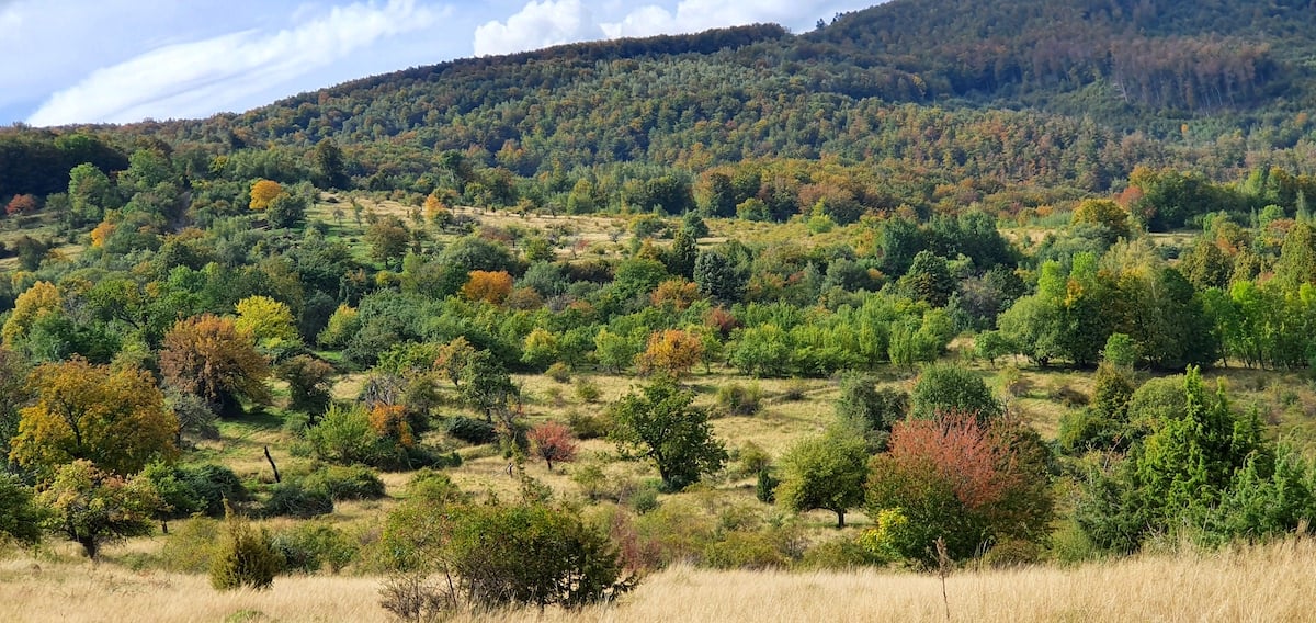Pe toată Via Transilvanica, ziua 21. Prin „satul-fantomă”, al cărui ultim bătrân a fost omorât de o mașină la prima lui ieșire la oraș
