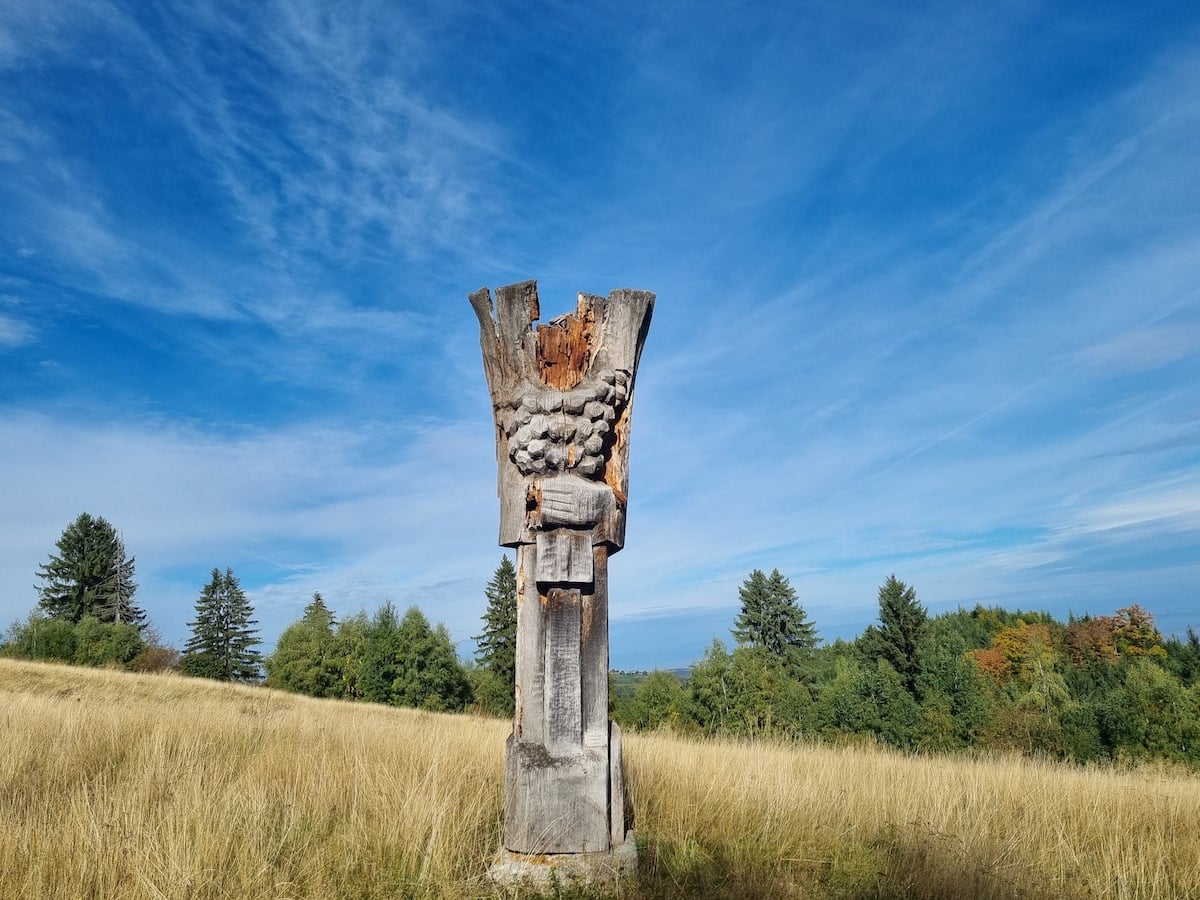 A început amenajarea traseului de drumeție Poteca Soarelui. Cultura Lemnului: spațiu de popas, sculpturi conservate și hartă online