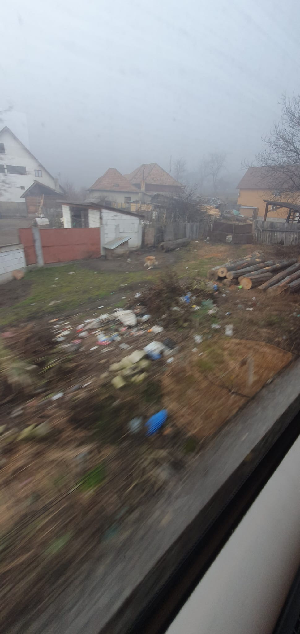 Cu trenul sau mașina? Noii timpi ai CFR contestă supremația mașinii pe Valea Oltului, însă mizeria depășește orice așteptare