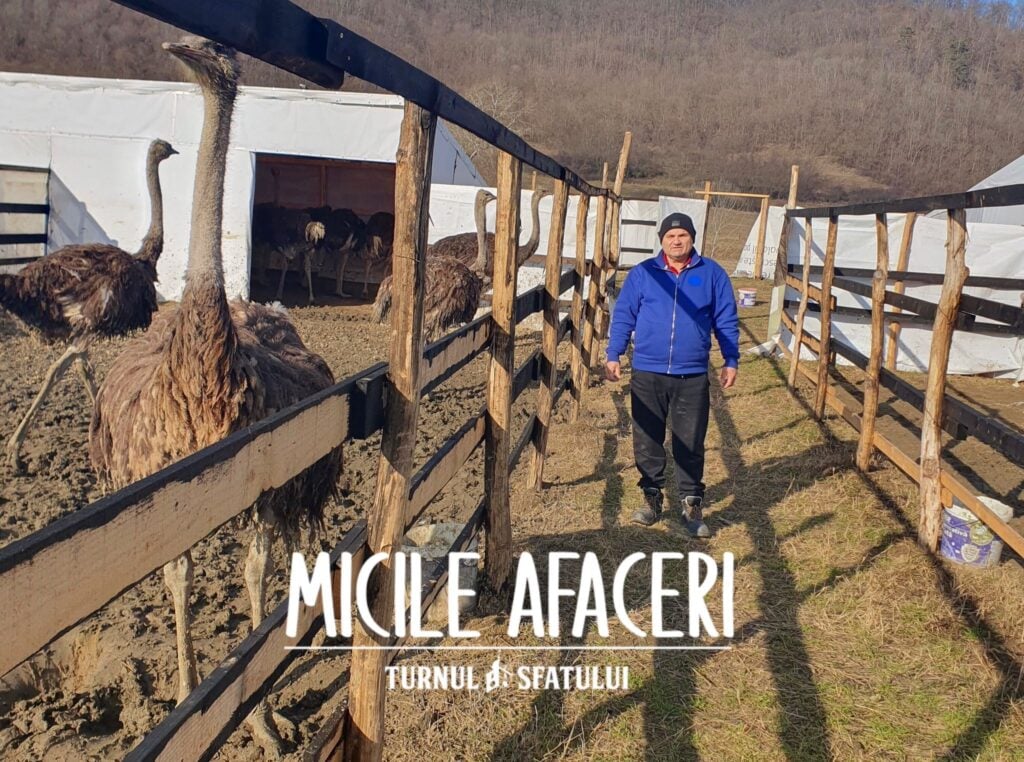 mici-afaceri-strut-i-aga-rbiciu-foto-principala-msmr