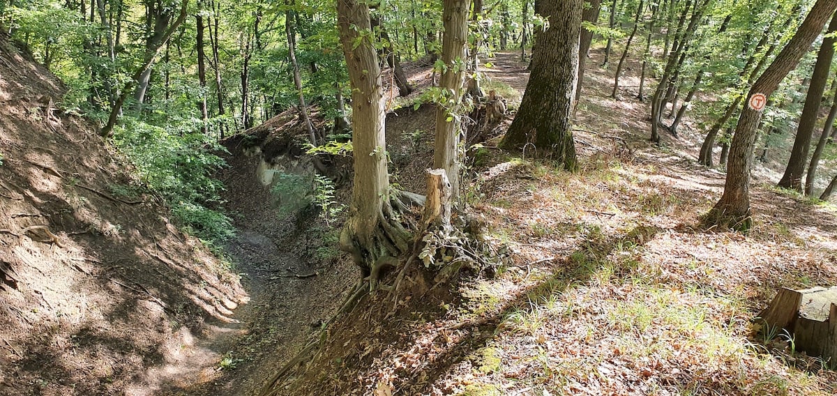 Pe toată Via Transilvanica. Ziua 12 ne-a purtat tot prin Sibiu. Și ce Sibiu...