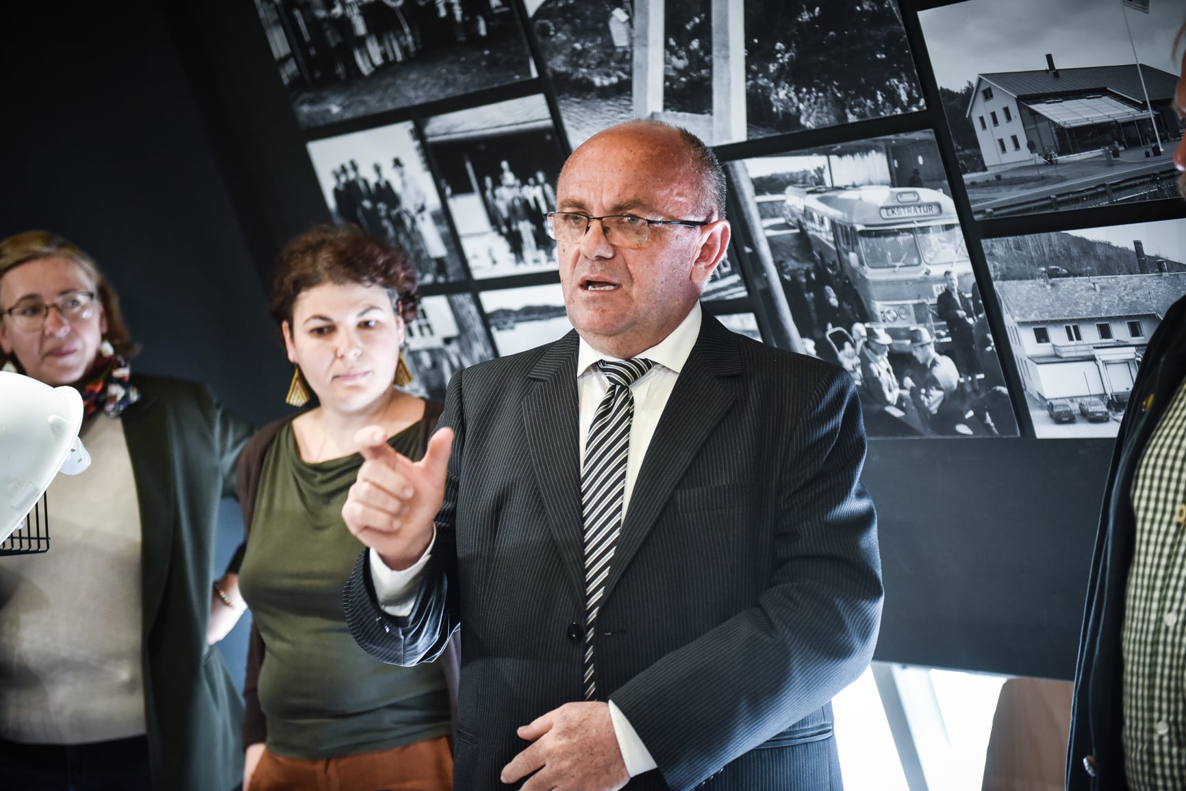 Colonia de lilieci din Sub Arini a fost ciopârțită cu drujba pentru ”amenajarea unei poteci tematice”. De către Direcția Silvică Sibiu