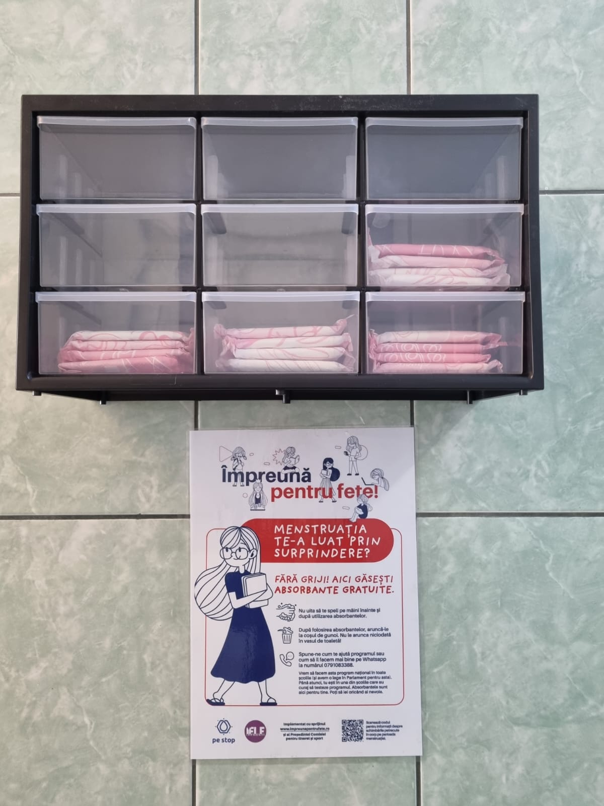 Absorbante gratuite pentru fetele de la Școala 18. Diana Mureșan, USR Sibiu: Sperăm că vom convinge administrația locală că astfel de proiecte sunt benefice