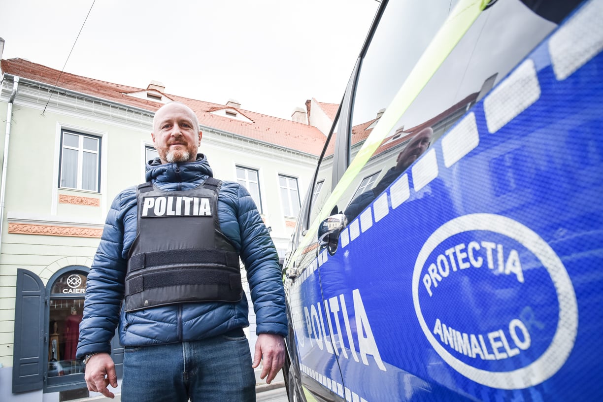 Șeful Poliției Animalelor Sibiu: De la un obiectiv turistic au fost ridicați 68 de câini fără stăpân. Cetățeanul trebuie să înțeleagă și turistul trebuie să se educe
