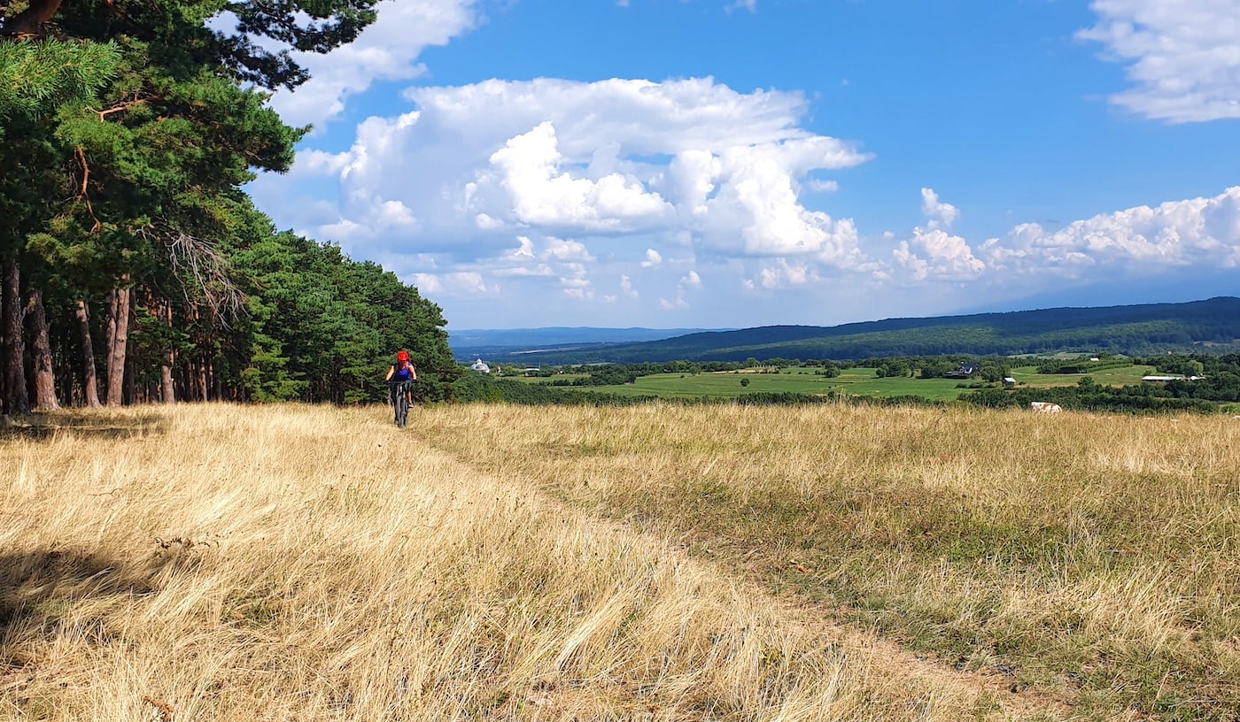 Top 5 locuri în care evadezi în natură, la doi pași de Sibiu: de la delta de pe Cibin, la minunata rețea de poteci din pădure
