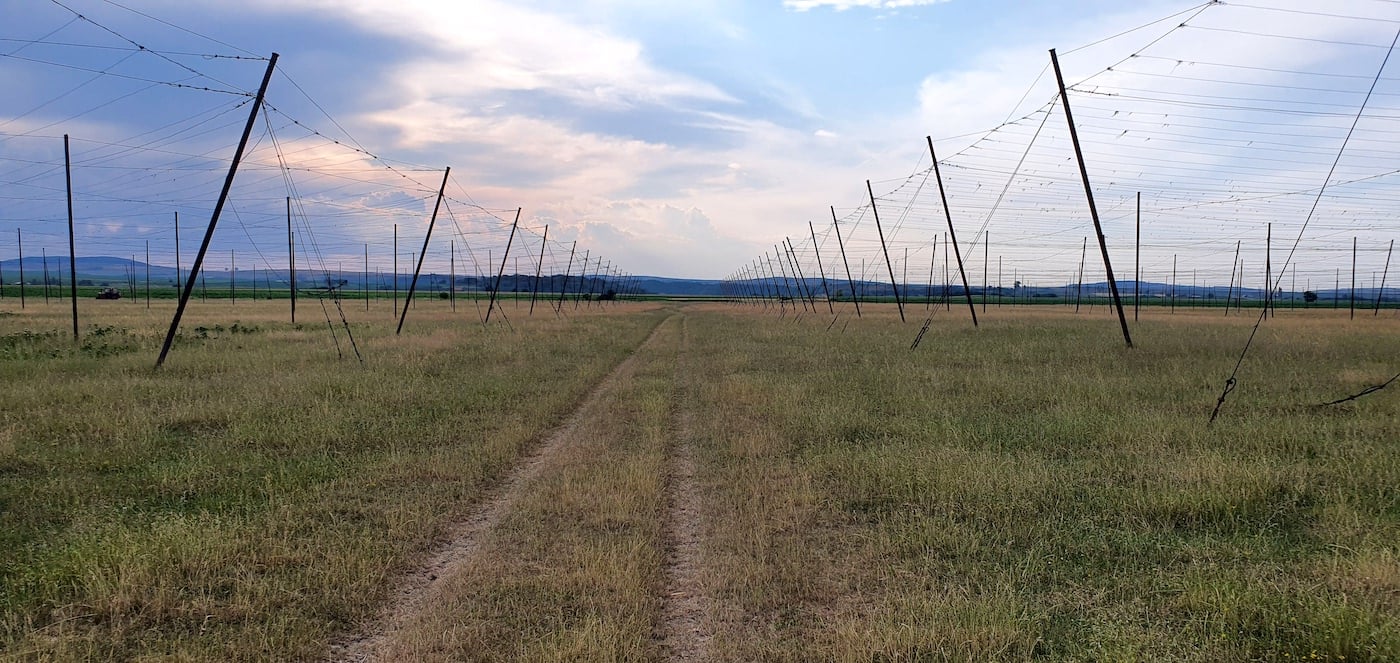 Top 5 locuri în care evadezi în natură, la doi pași de Sibiu: de la delta de pe Cibin, la minunata rețea de poteci din pădure