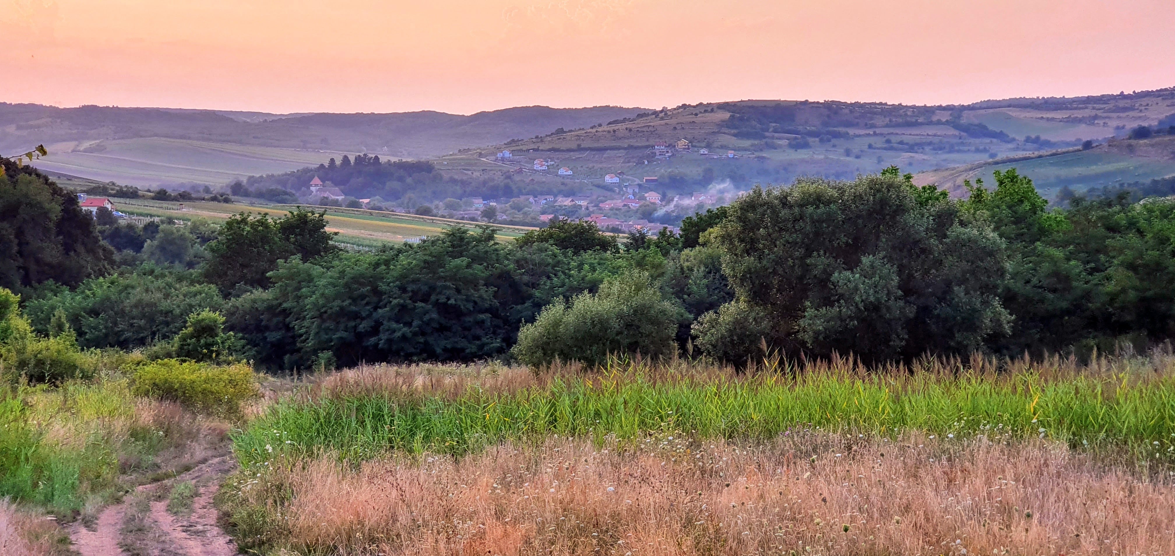 Top 5 locuri în care evadezi în natură, la doi pași de Sibiu: de la delta de pe Cibin, la minunata rețea de poteci din pădure