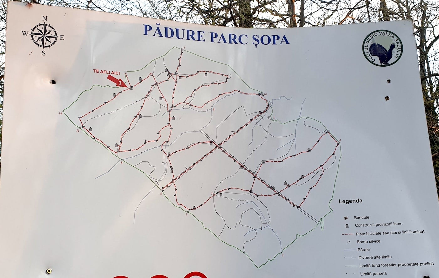 Top 5 locuri în care evadezi în natură, la doi pași de Sibiu: de la delta de pe Cibin, la minunata rețea de poteci din pădure