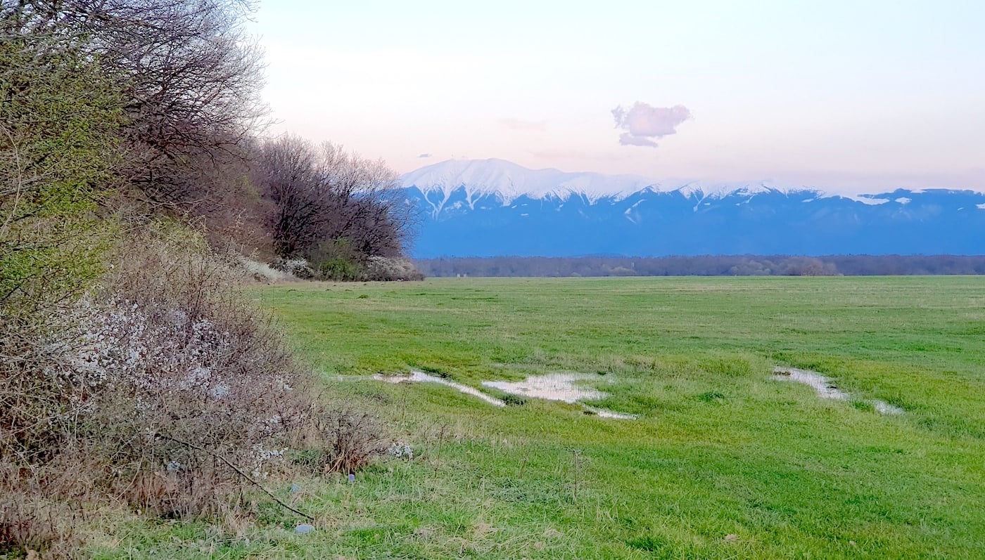 Top 5 locuri în care evadezi în natură, la doi pași de Sibiu: de la delta de pe Cibin, la minunata rețea de poteci din pădure