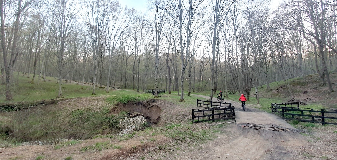 Top 5 locuri în care evadezi în natură, la doi pași de Sibiu: de la delta de pe Cibin, la minunata rețea de poteci din pădure