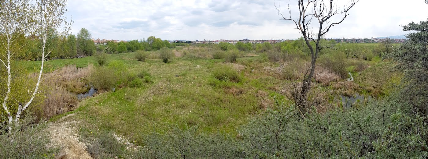 Top 5 locuri în care evadezi în natură, la doi pași de Sibiu: de la delta de pe Cibin, la minunata rețea de poteci din pădure