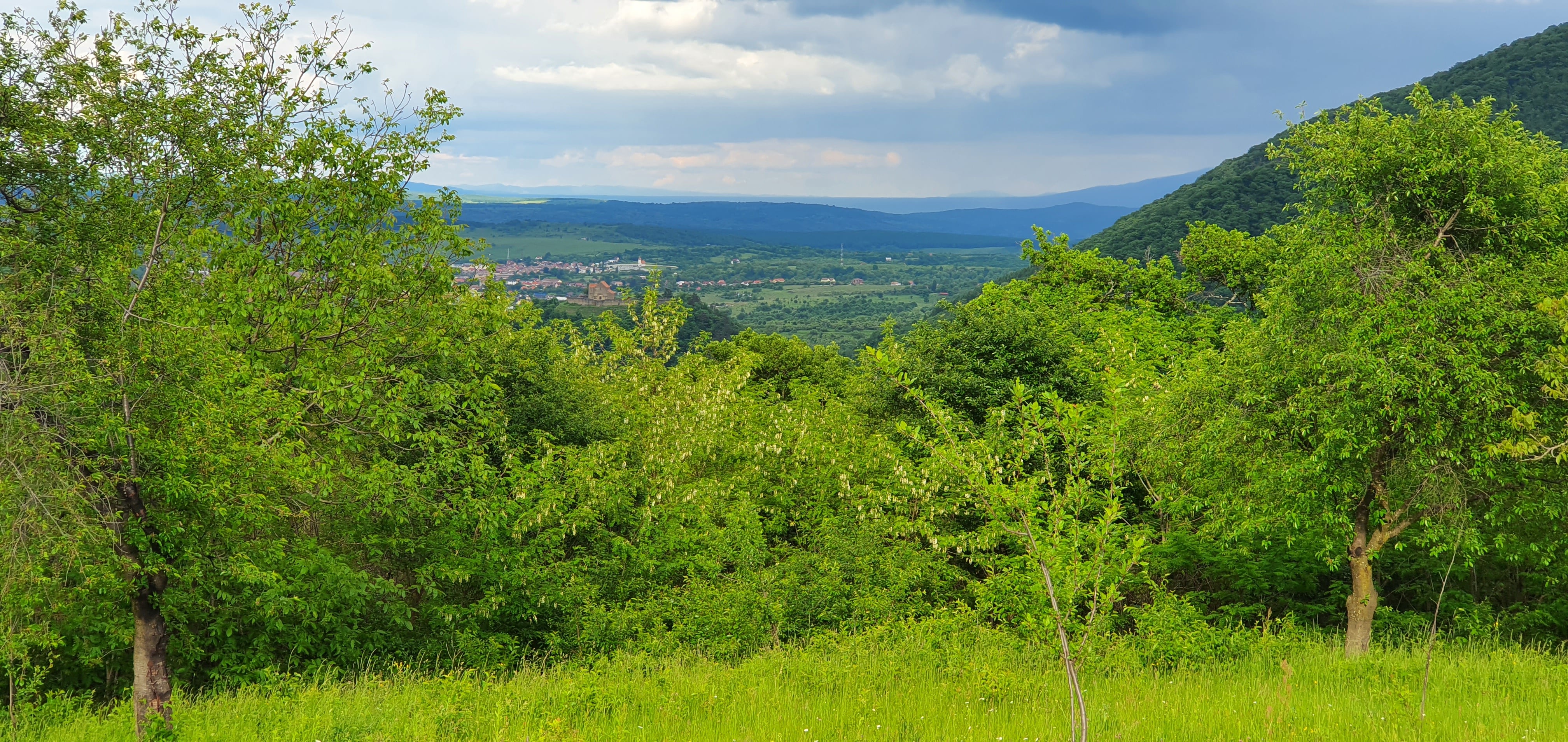 Top 5 locuri în care evadezi în natură, la doi pași de Sibiu: de la delta de pe Cibin, la minunata rețea de poteci din pădure