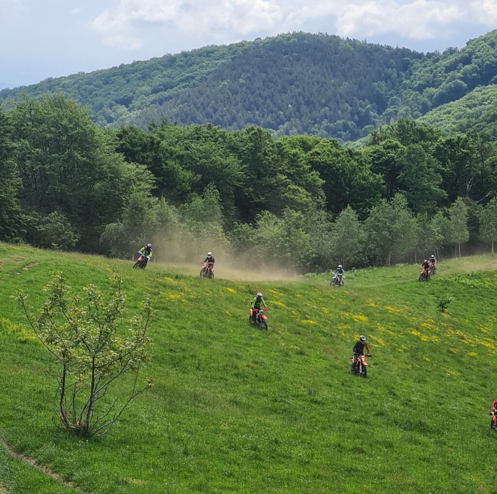 Jandarmii nu-i pot amenda nici pe cei prinși prin păduri cu motoare. Sursa foto: arhiva turnulsfatului.ro