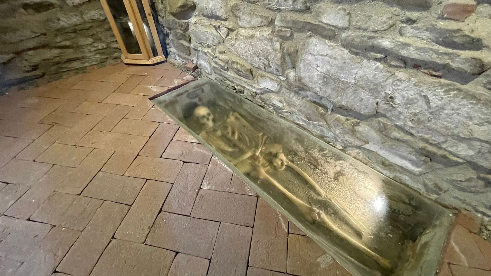 scheletul sasului din alma vii