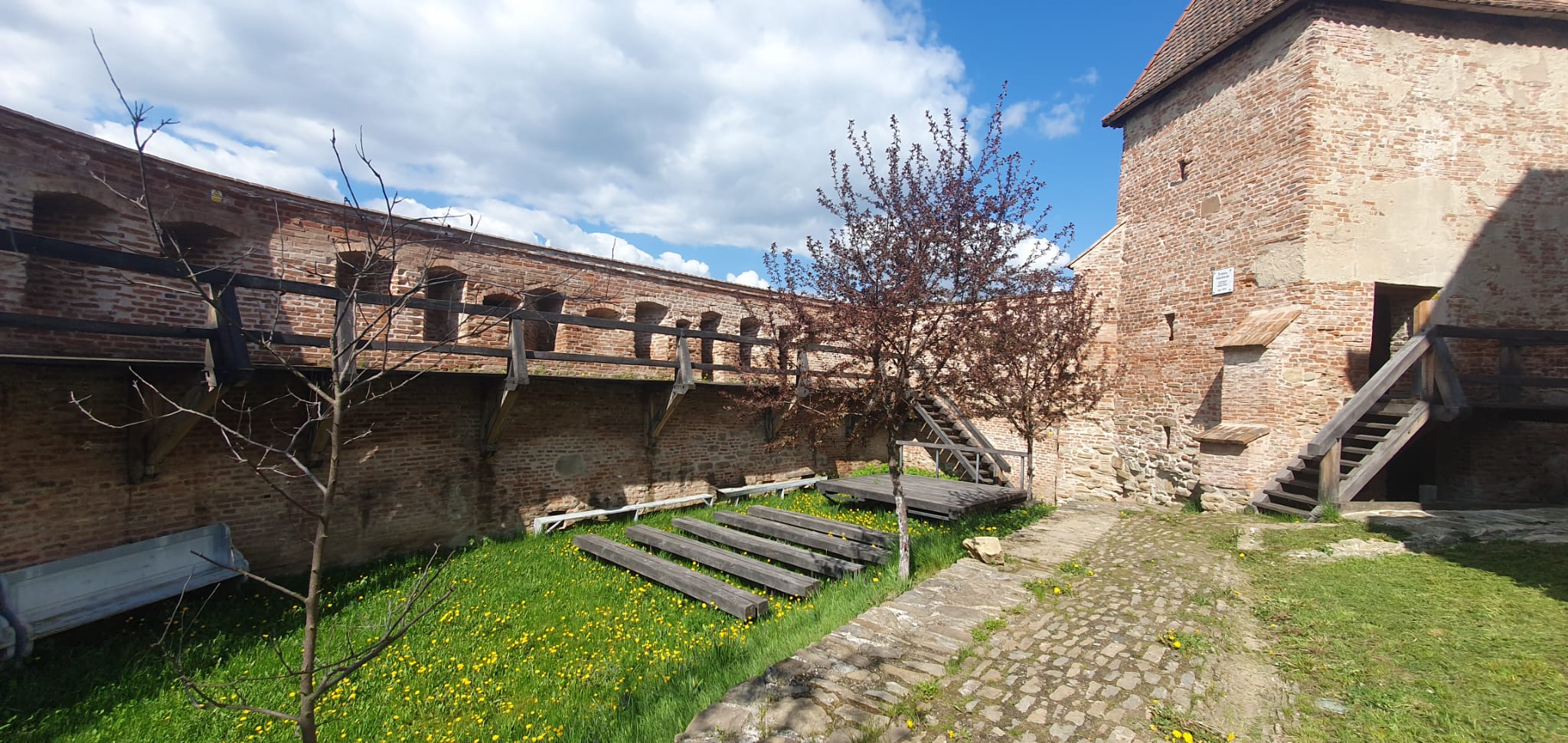 cetatea alma vii