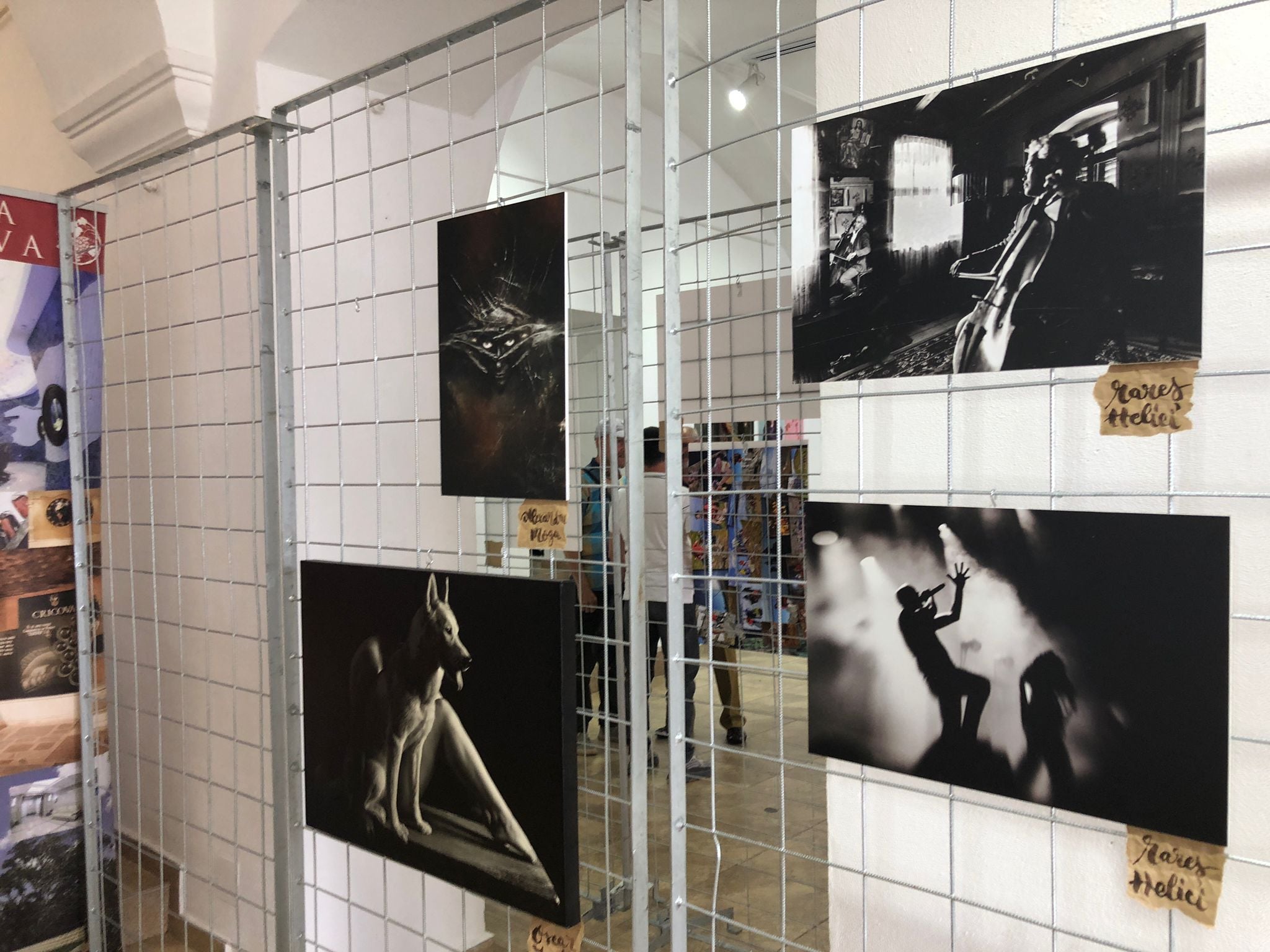 „Ei surprind momentele și efervescența acestui oraș”. IMG_001.jpg, expoziția care prezintă lucrările mai multor fotografi sibieni