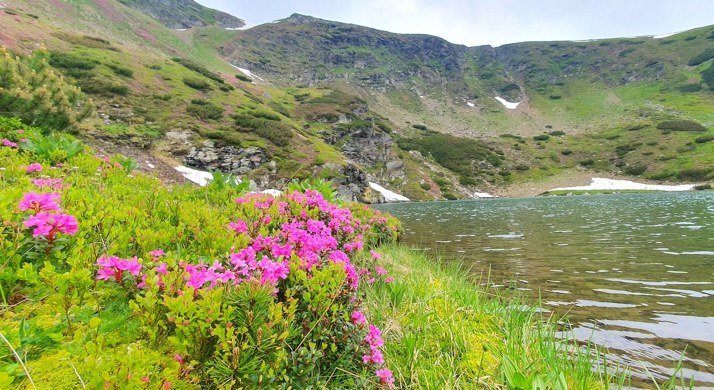 Paradisul „îmbujorător” al Sibiului, în care tot mai mulți își bagă mașinile. „A devenit o zonă atât de călărită de toți nesimțiții”