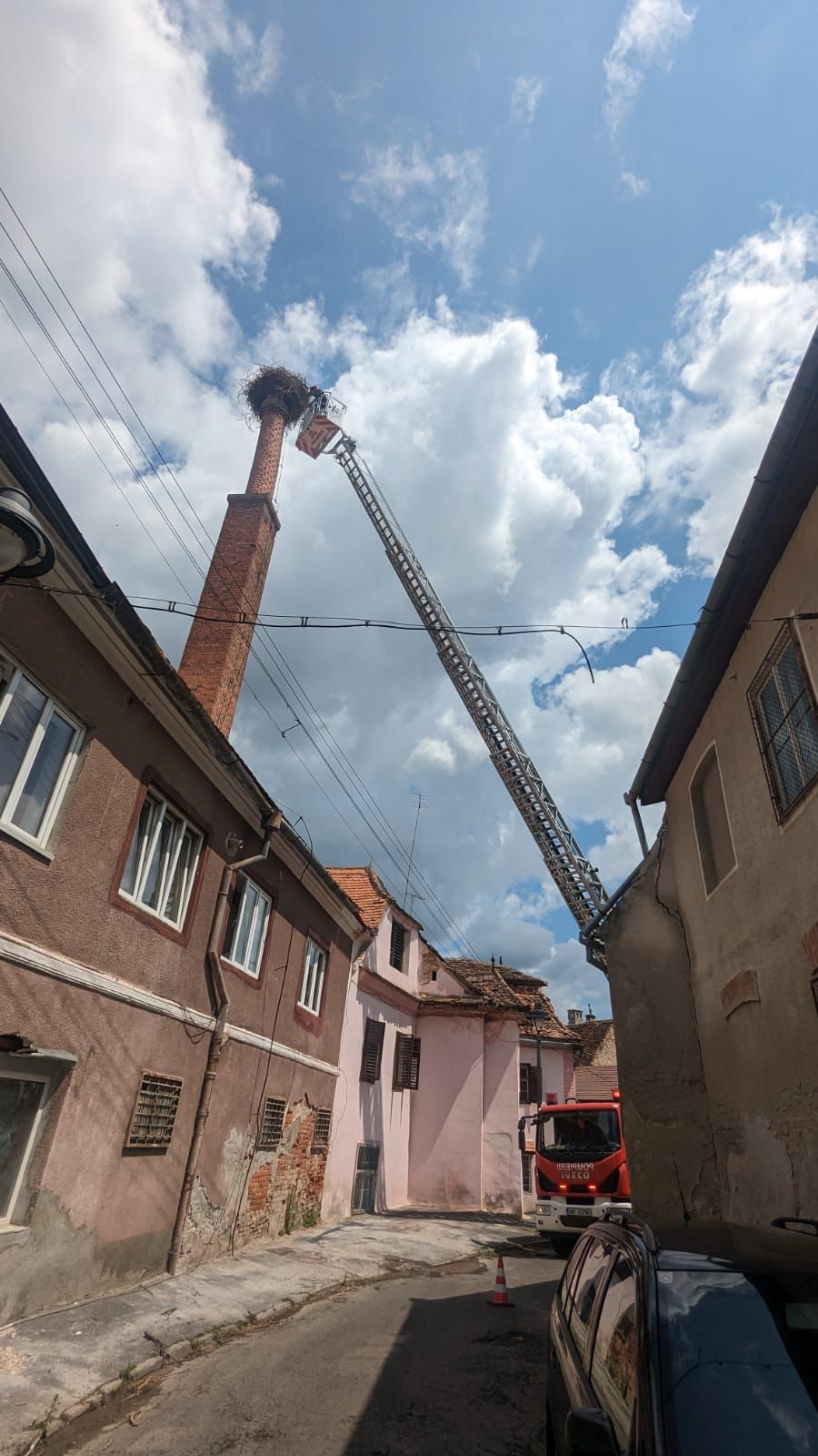 Pui de barză salvat în Sibiu după ce a rămas blocat într-un paratrăsnet