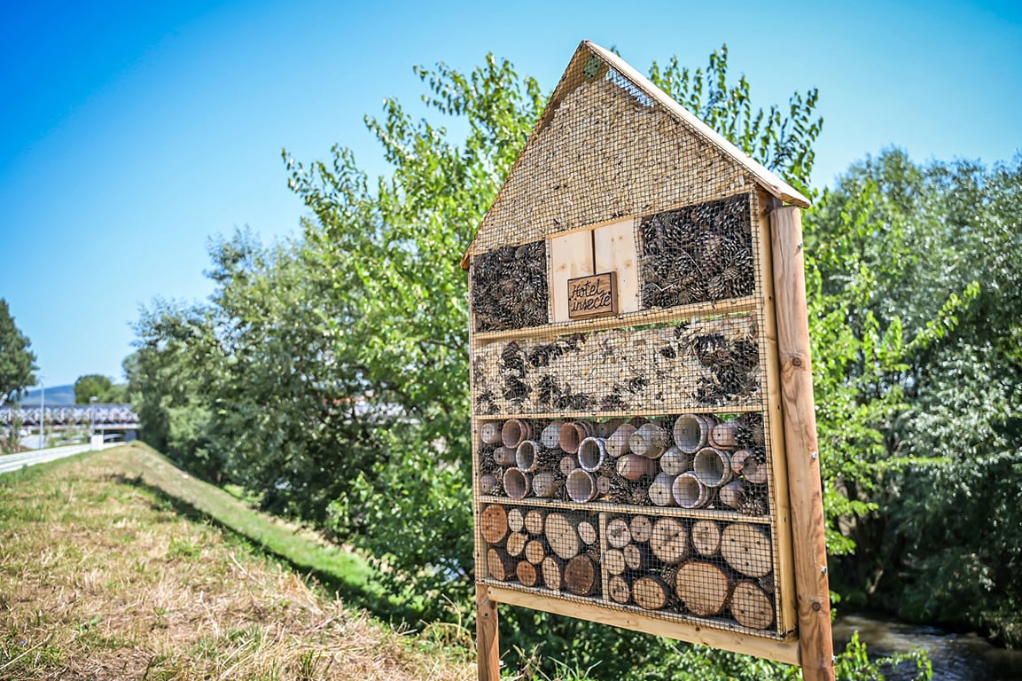 Fotografii spectaculoase cu noua pistă de biciclete a Sibiului. A fost inaugurată vineri