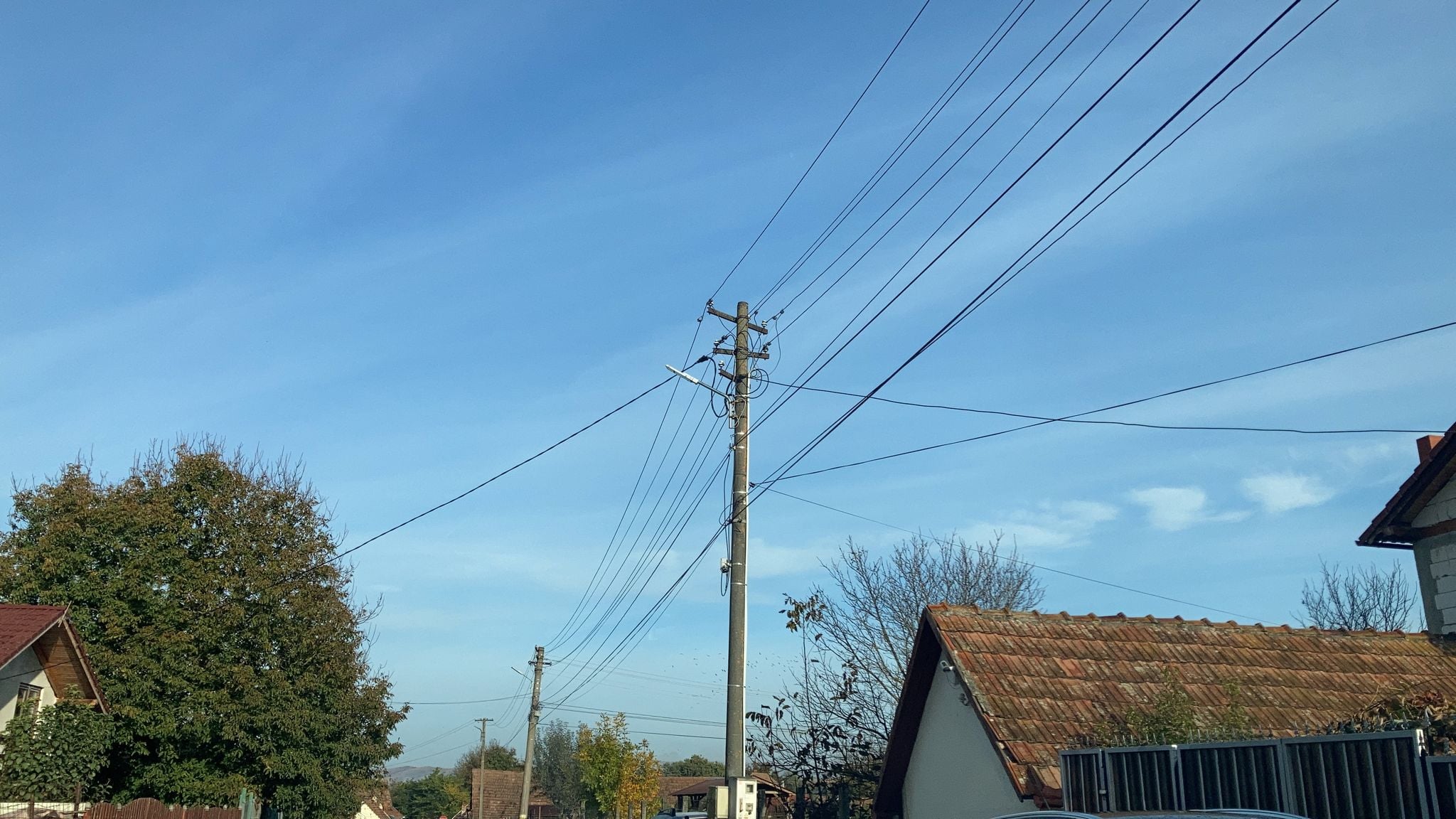 Problemele de la rețeaua electrică din județ. Firmă din Ruși obligată să-și cumpere generator: „Până dimineața la patru am mutat peștele din vitrine în lada de înghețată”