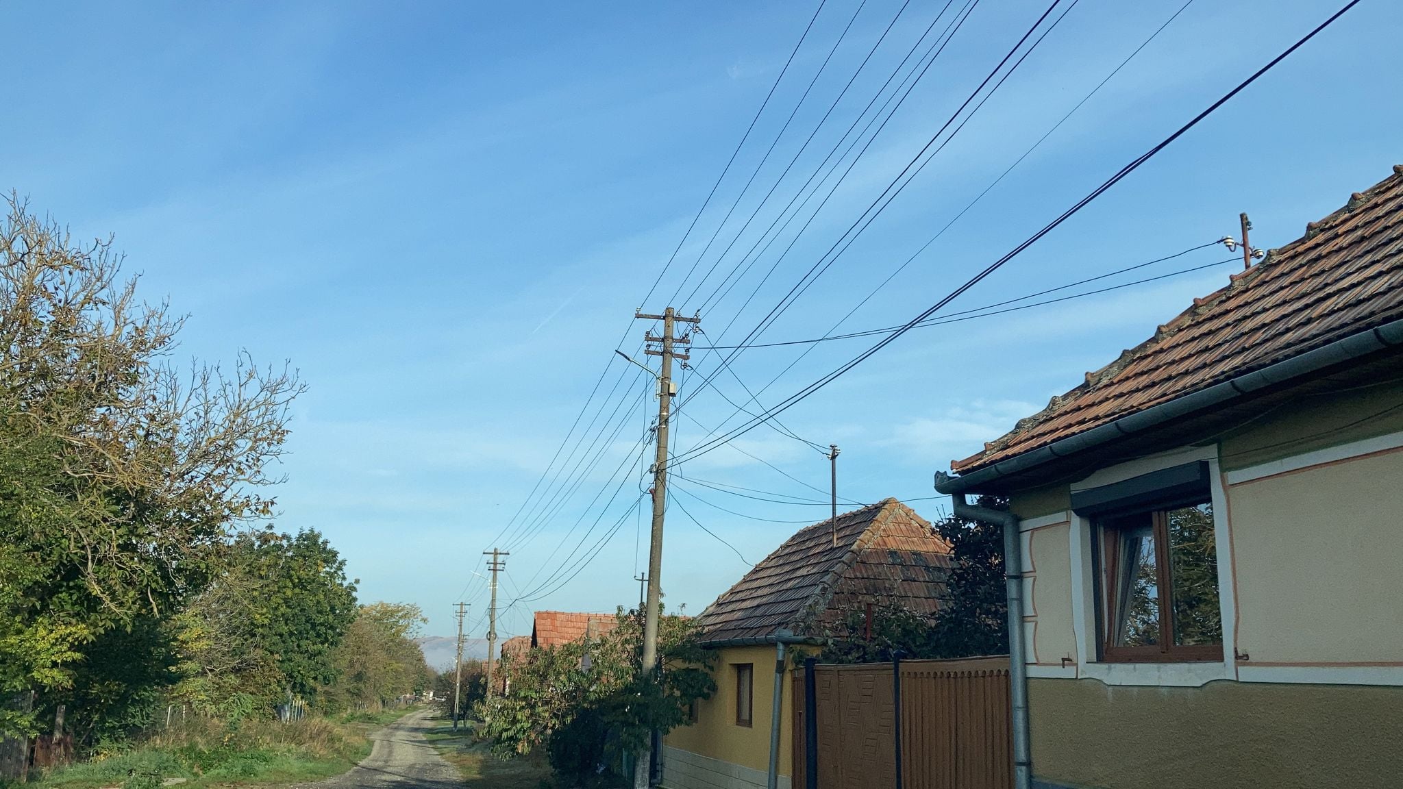 Problemele de la rețeaua electrică din județ. Firmă din Ruși obligată să-și cumpere generator: „Până dimineața la patru am mutat peștele din vitrine în lada de înghețată”