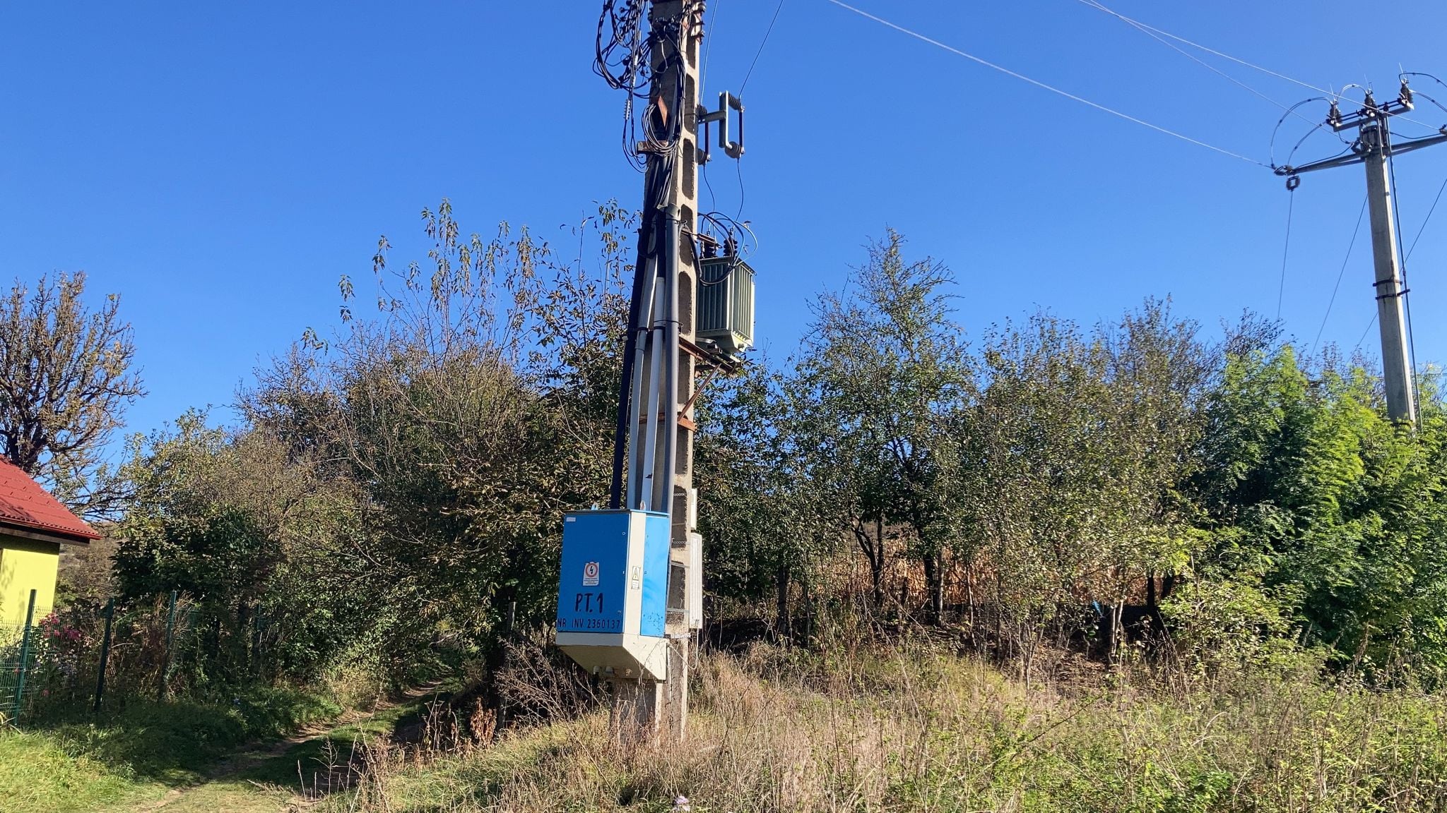 Problemele de la rețeaua electrică din județ. Firmă din Ruși obligată să-și cumpere generator: „Până dimineața la patru am mutat peștele din vitrine în lada de înghețată”