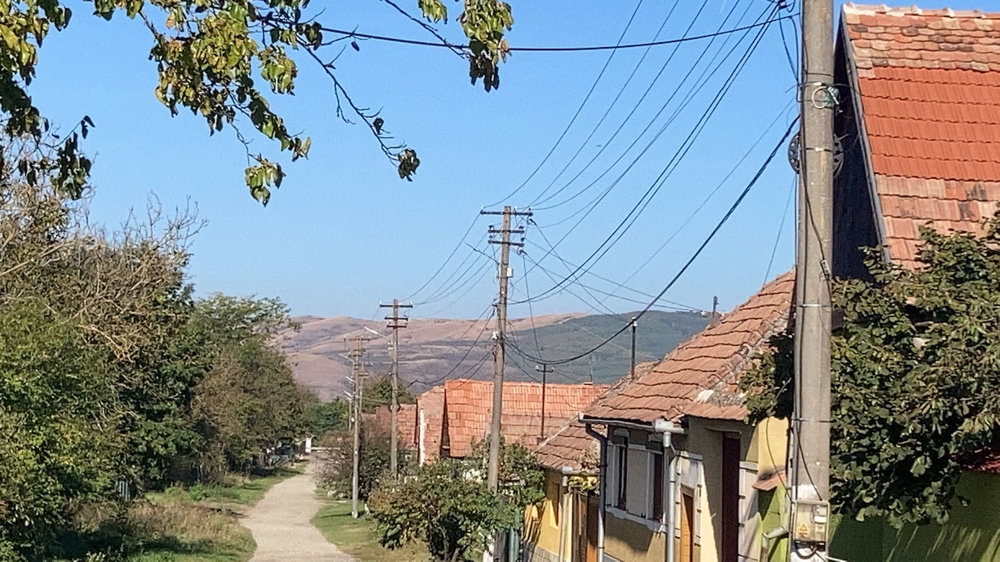 Problemele de la rețeaua electrică din județ. Firmă din Ruși obligată să-și cumpere generator: „Până dimineața la patru am mutat peștele din vitrine în lada de înghețată”