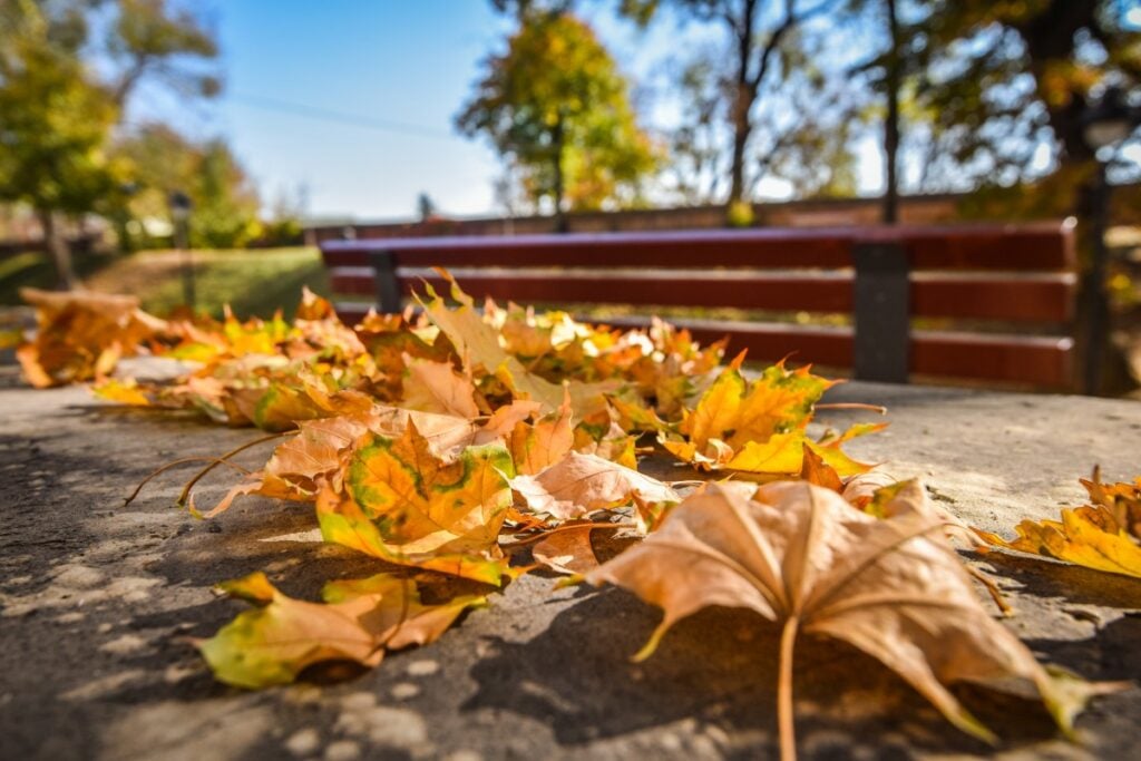 sibiu-parcul-cetatii-toamna-16-ussk