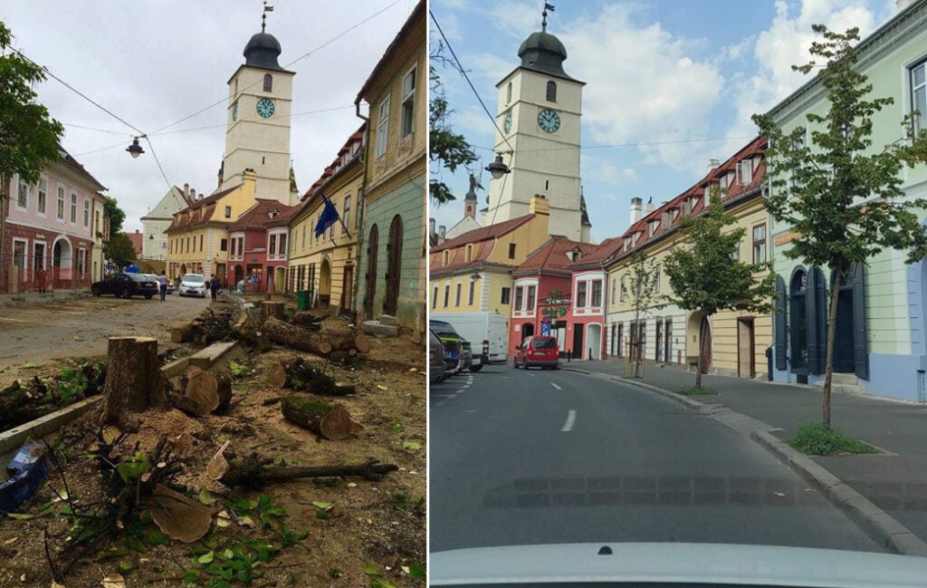 strada-avram-iancu-copaci-6p75