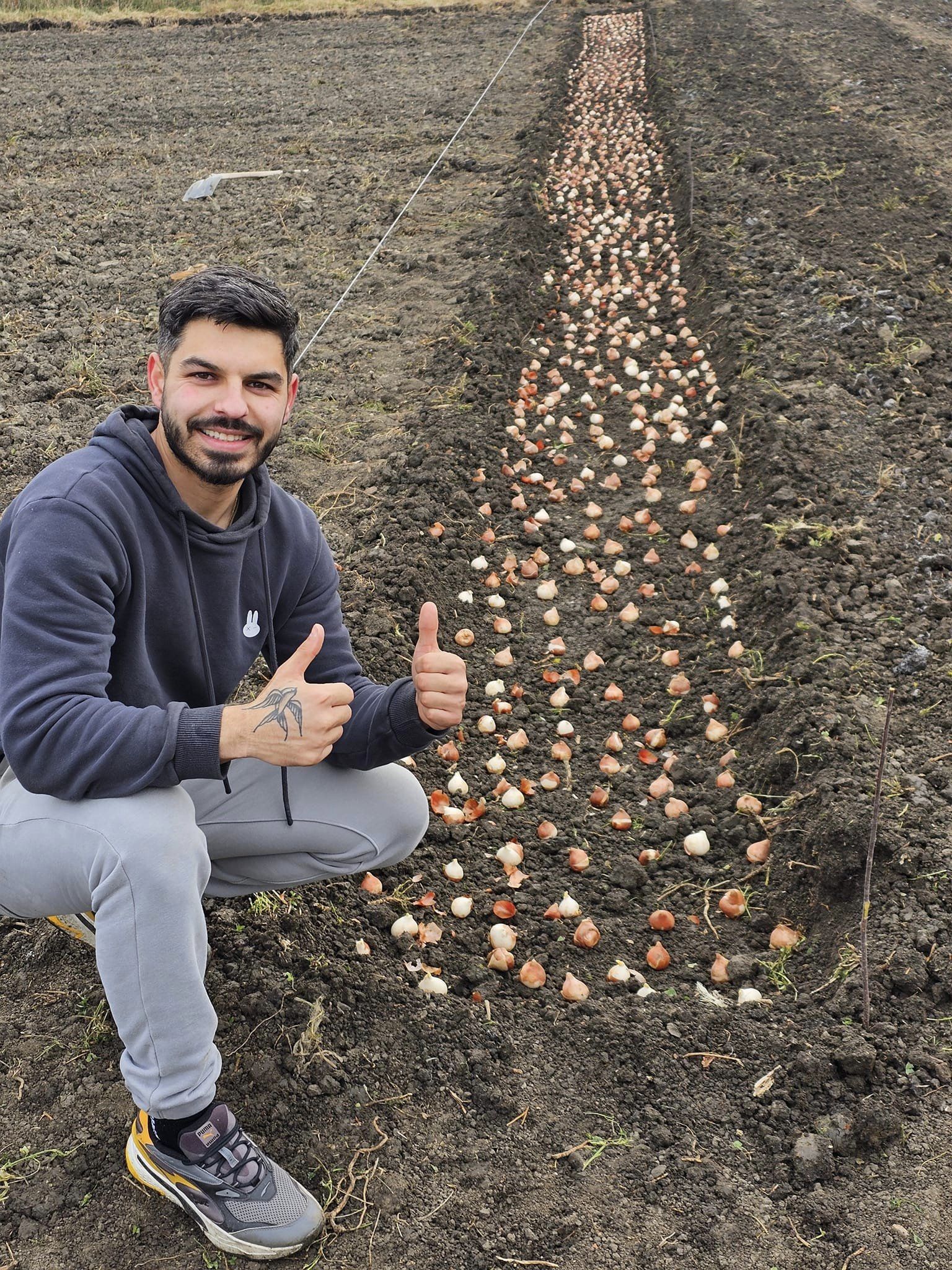 După ce a muncit în Olanda, un sibian și-a deschis grădină cu lalele pe 2.000 de mp. Accesul liber pentru vizitatori și fotografii profesionale gratuite