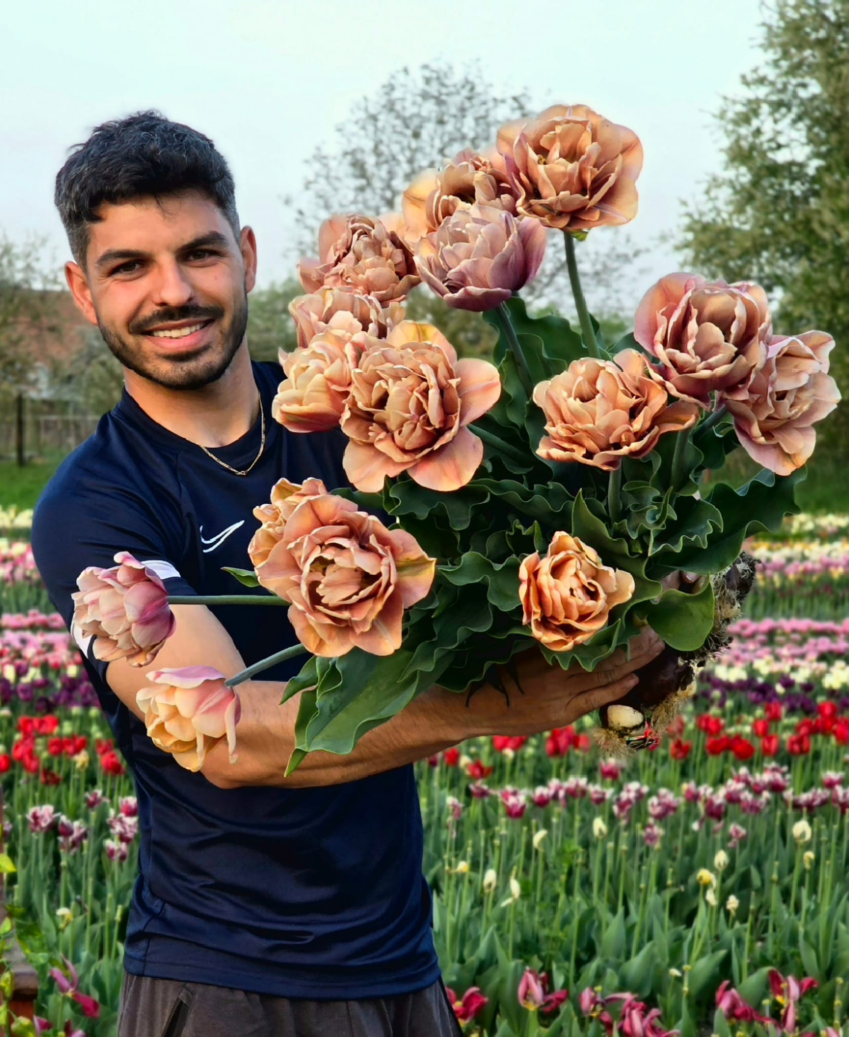 După ce a muncit în Olanda, un sibian și-a deschis grădină cu lalele pe 2.000 de mp. Accesul liber pentru vizitatori și fotografii profesionale gratuite
