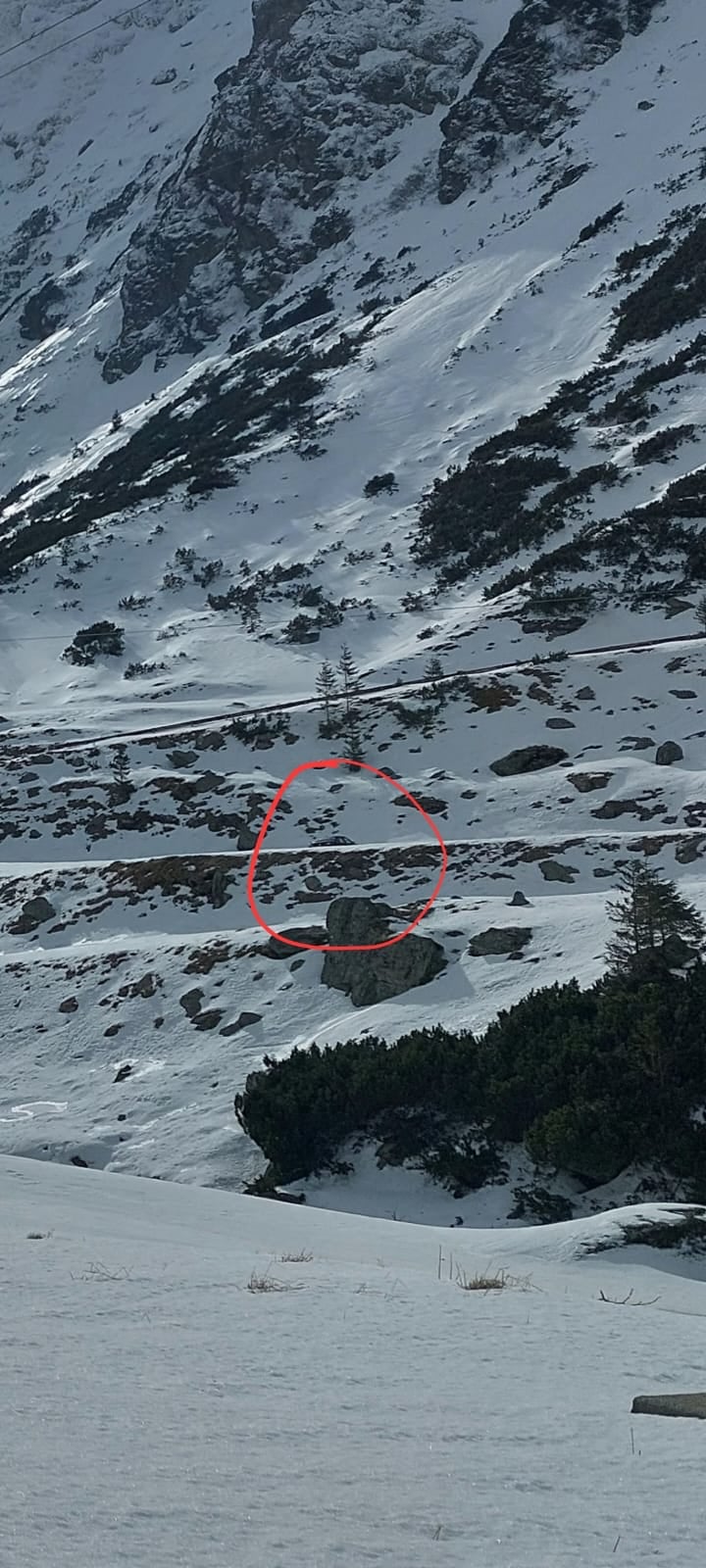 Epavă-reclamă abandonată pe Transfăgărășan: Proprietarul spune că nu o poate lua din cauza autorităților, autoritățile dau vina pe proprietar