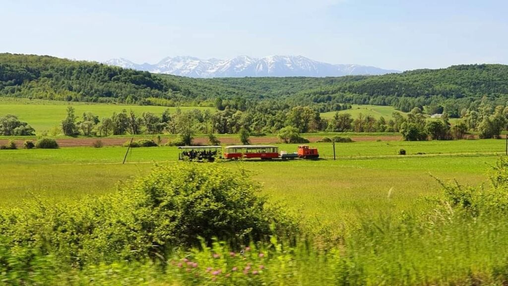 mocanita-sibiu-ug37