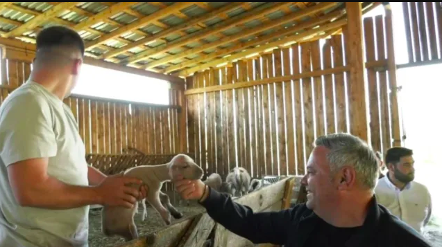 Florin Barbu, Ministrul Agriculturii, în vizită la o familie de oieri din județul Sibiu. „Produsele le valorificăm doar prin magazinele noastre. Avem 1.000 de oi la muls pentru că din păcate atât ne permit oamenii”