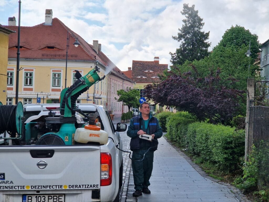 dezinsectie-sibiu-1-eo6f