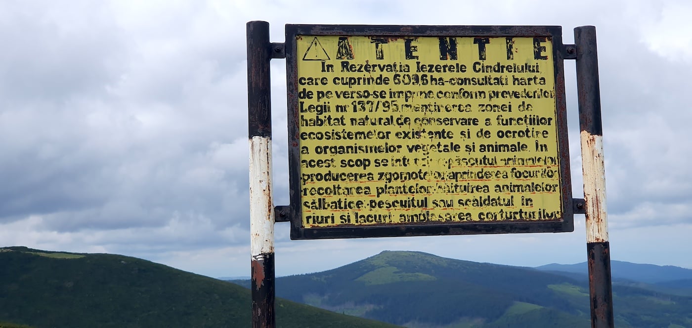 Bujorul de munte este atracția momentului. Și cum își bat sibienii joc de aceasta