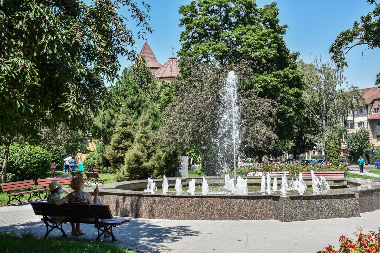 Sibienii vor începe să caute tot mai abitir umbra copacilor. Foto: arhiva turnulsfatului.ro