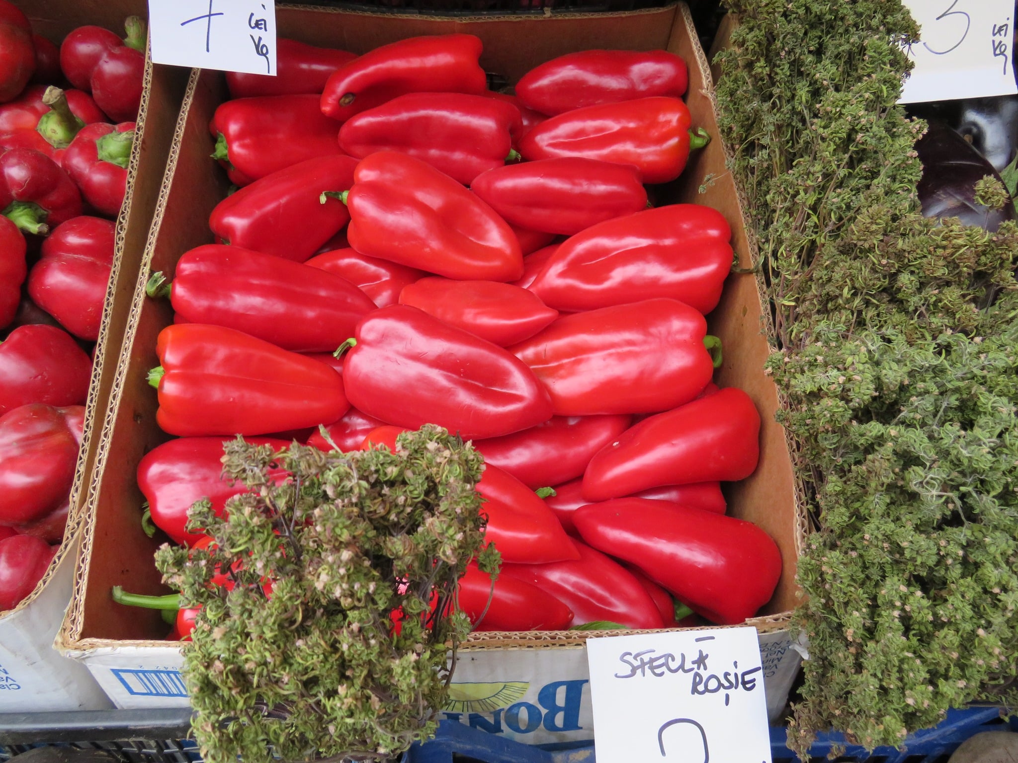 Muzeul Astra invită sibienii la copt de vinete și ardei. „Oferim informații despre practicile și instrumentarul culinar prin care, odinioară, legumele și fructele erau conservate”