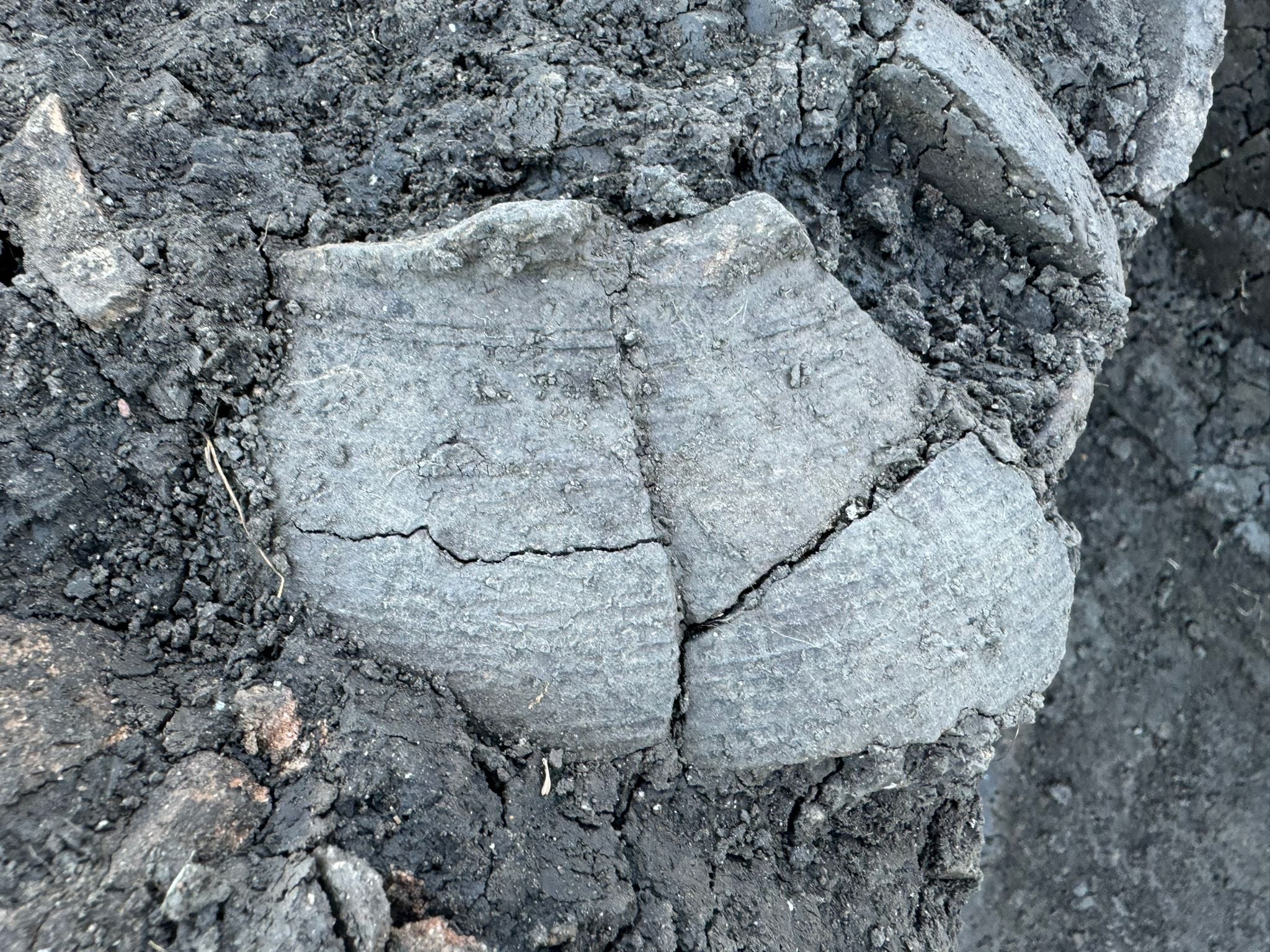 Noi descoperiri arheologice la Păuca, lângă Biserica Ungurească. Prof. Univ. Dr. Țiplic: ”Printre cele mai interesante de până în prezent ar fi o serie de morminte de familie”