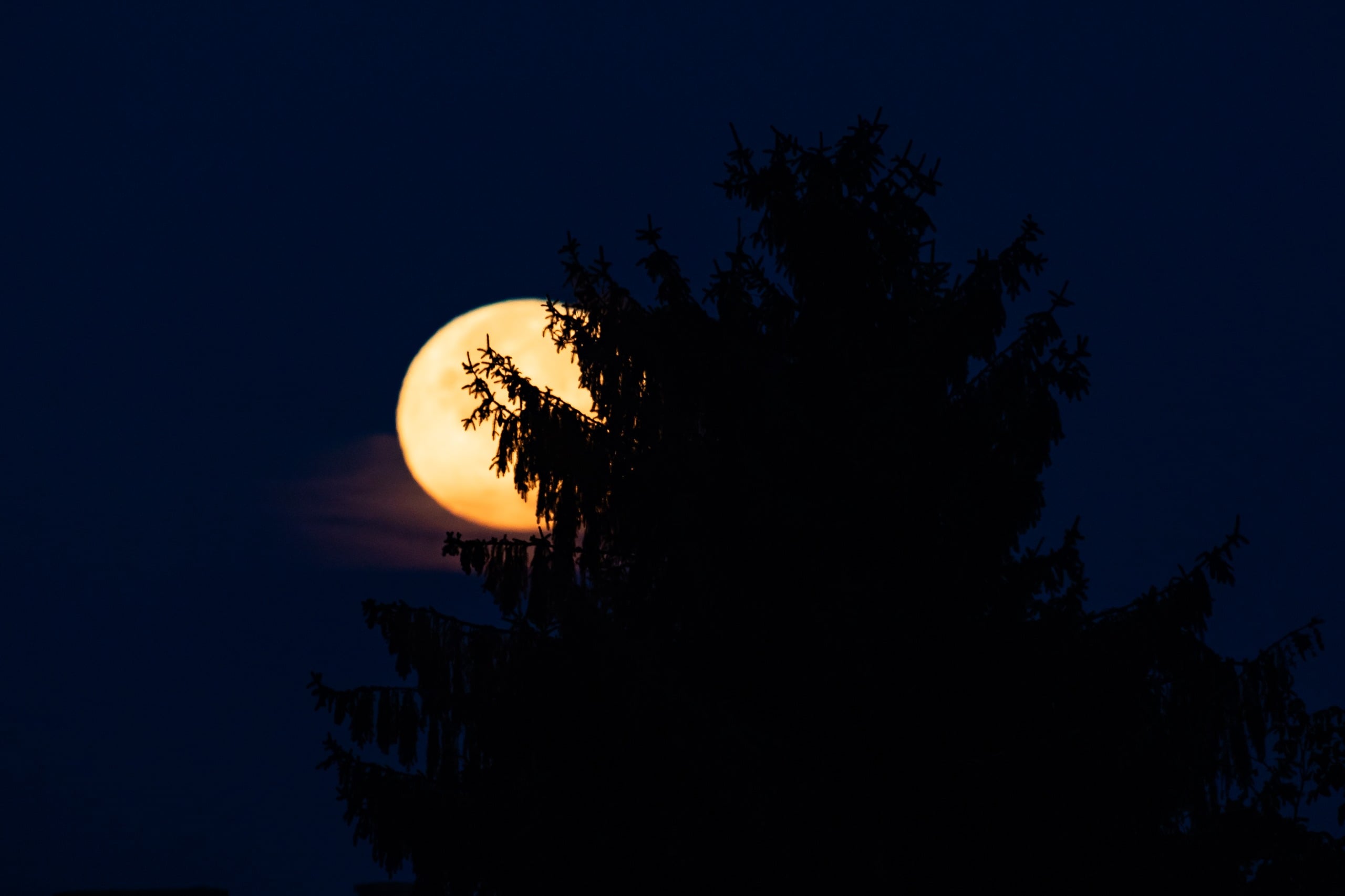 Super Luna și turnul Catedralei Evanghelice, surprinse de fotograful sibian Ovidiu Matiu. „Ceața ne-a dat planul inițial peste cap”