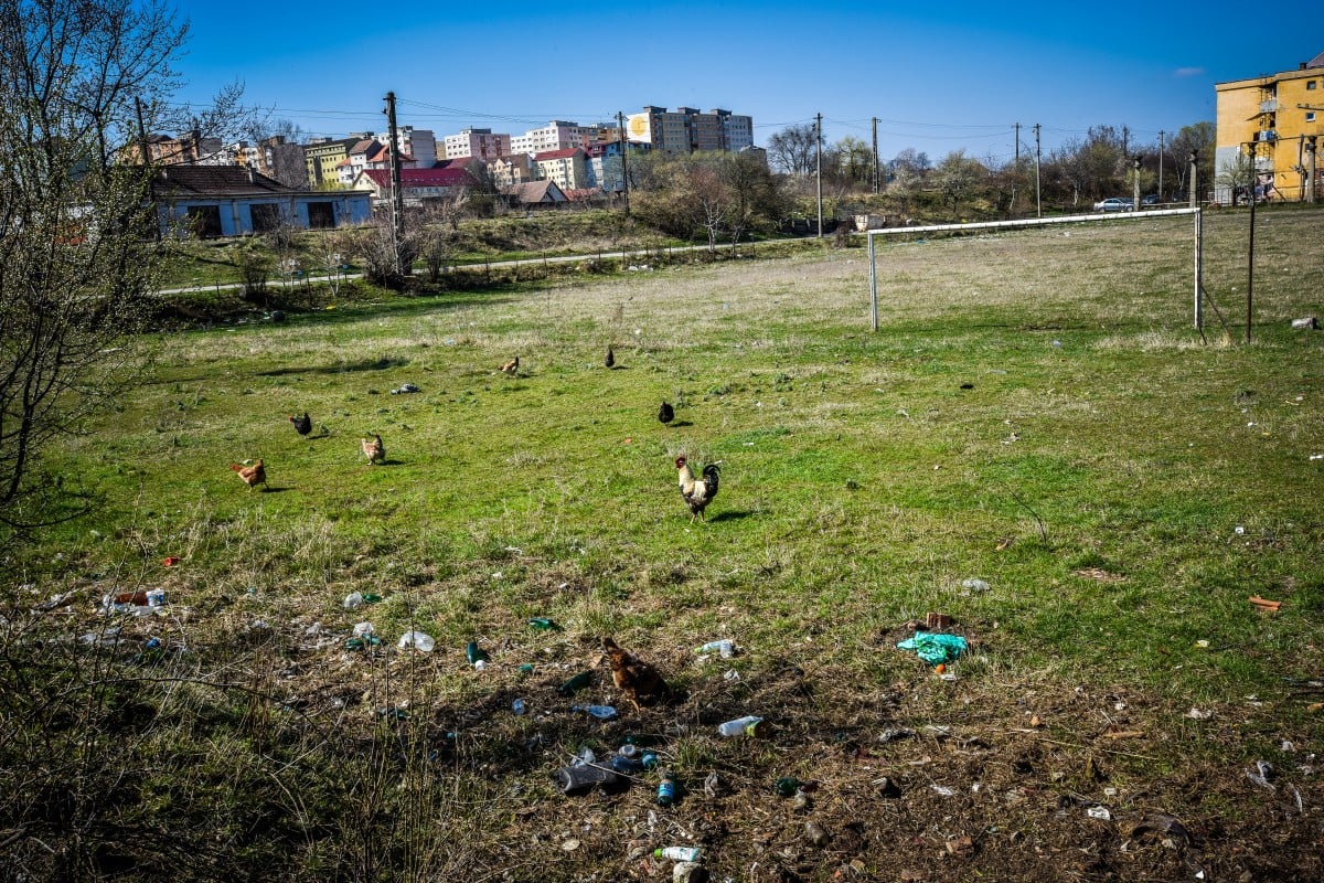 „Sibiul avea nevoie ca de aer de așa ceva”. Cel mai nou teren de fotbal din oraș, amenajat în Broscărie